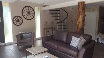 Télévision, cheminée, lecteur de DVD, livres