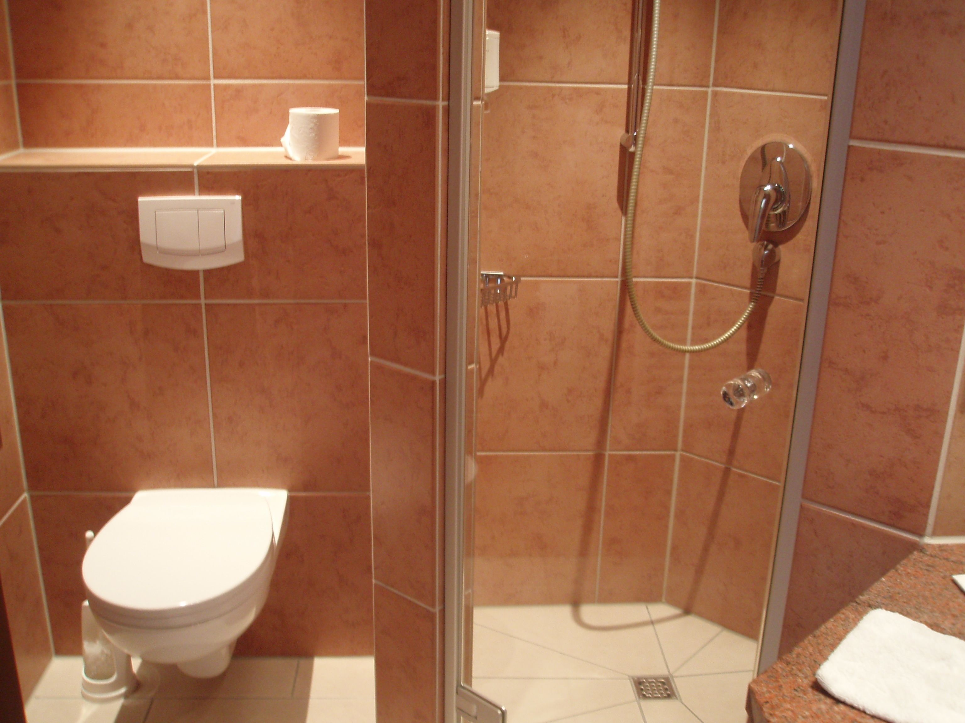 Een badkamer met toilet, douche en wastafel.