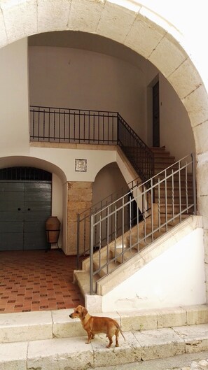 Detalle exterior