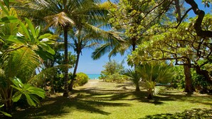 Un jardin tropical avec des palmiers et une vue dégagée sur l’océan.