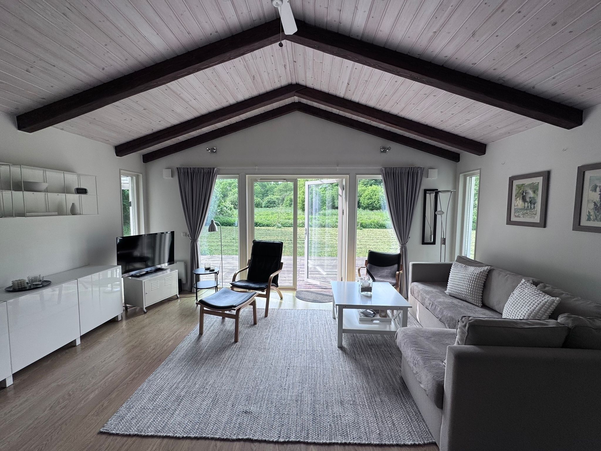 Älytelevisio, takka, DVD-soitin, kirjoja