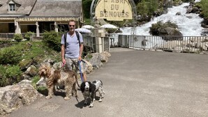 Un hombre con dos perros frente a un restaurante llamado "RESTAURANT DU BENQUES" y un letrero que dice "L'ABRI DU BENQUES".