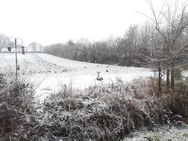 A snowy landscape with a path, trees, and a bird feeder.