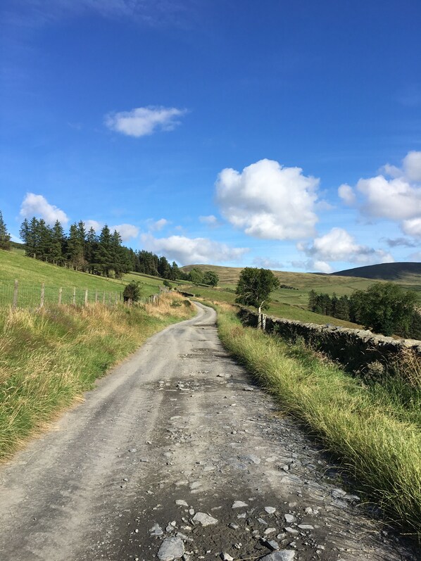 Un camino rural flanqueado por muros de piedra, que atraviesa un paisaje verde con árboles y colinas a lo lejos.