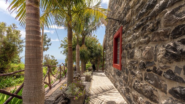 Un edificio de piedra con un ventanal rojo, rodeado de palmeras y plantas en macetas.