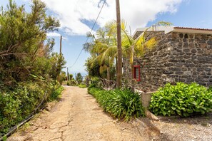 Property grounds - Relax in the middle of nature!!! (Arco da Calheta)