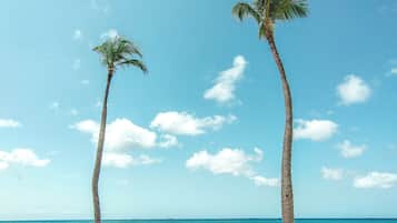 Camastros y toallas de playa