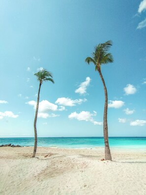 Chaises longues, serviettes de plage