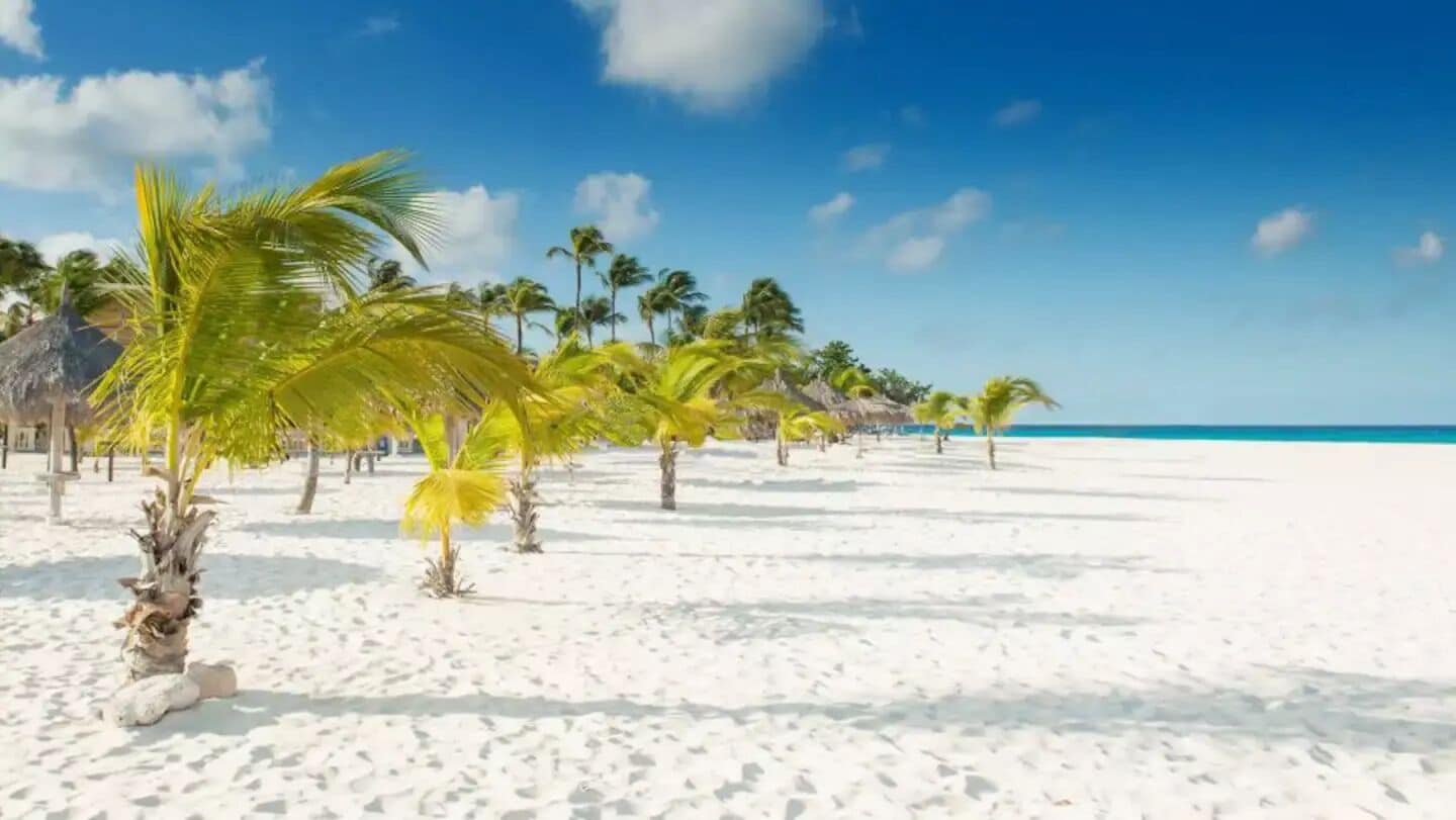 Chaises longues, serviettes de plage