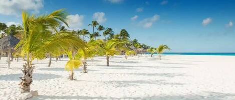 Chaises longues, serviettes de plage