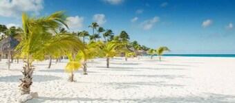 Family apartment 350 yards from Eagle Beach!