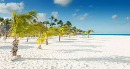 Zen Gardens Apartment