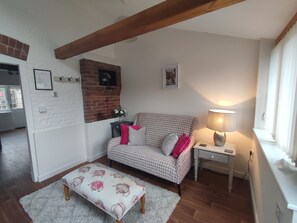 Smart TV, lareira, DVD player, livros