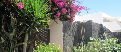 Detall de l'exterior