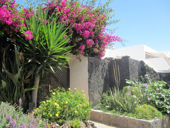 Detall de l'exterior