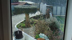 Vista desde una ventana: un jardín con un árbol, una pared blanca y una valla.