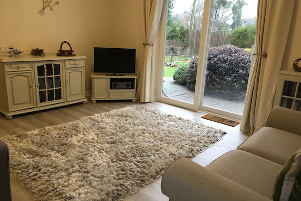 TV, DVD player, books, video library