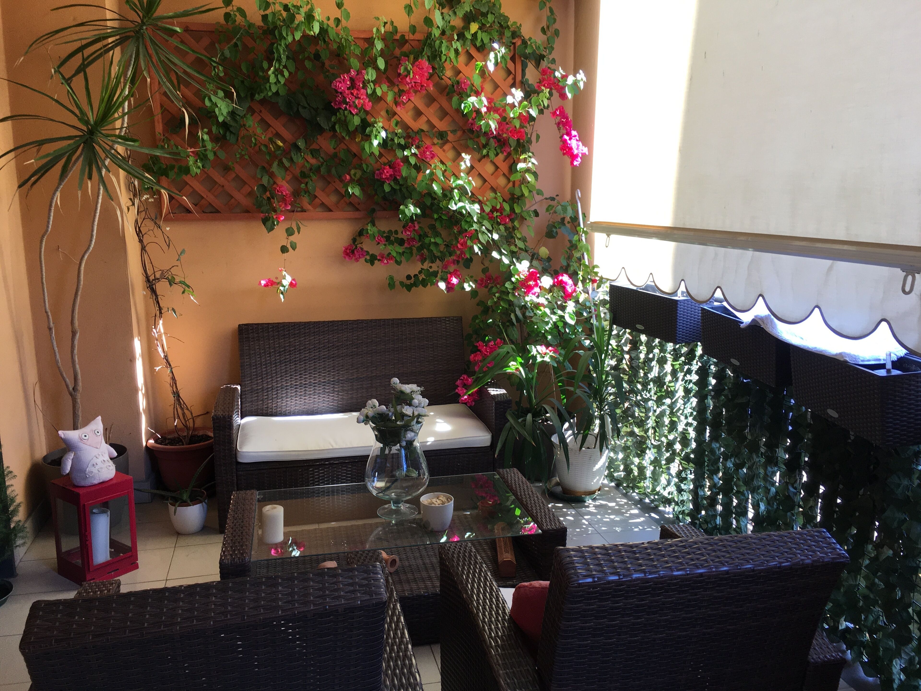 Une terrasse ensoleillée, meublée de mobilier en osier, avec un banc rembourré, des plantes en pot et un mur en treillis sur lequel grimpent des plantes.