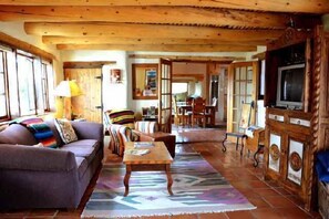 Tv, pejs, dvd-afspiller