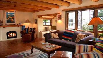 Televisión, chimenea y reproductor de DVD