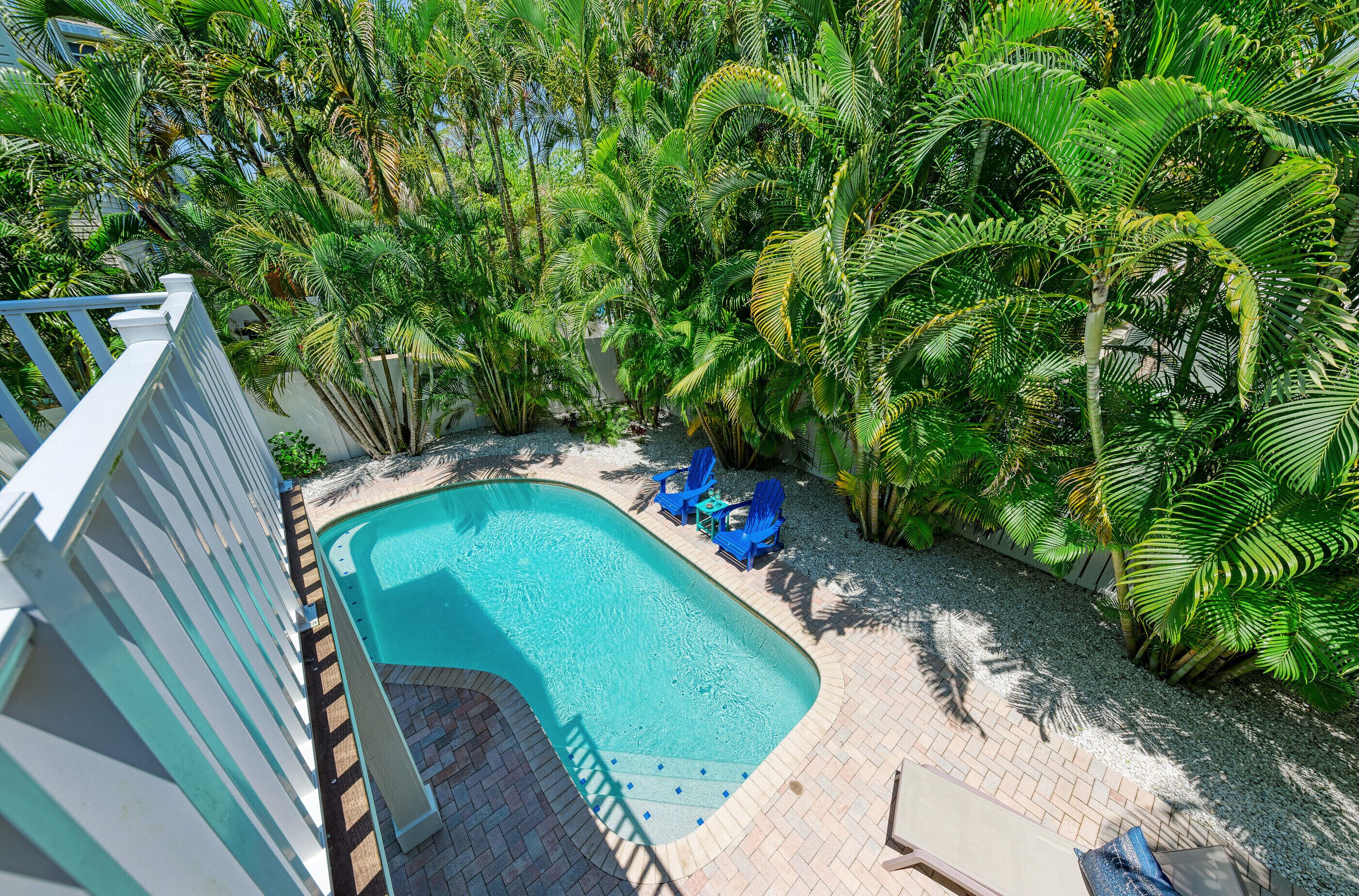 A swimming pool surrounded by lush tropical plants, with a white fence and blue chairs nearby.
