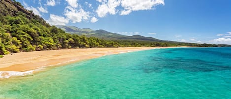 Plage à proximité