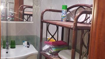 Bathtub, hair dryer, bidet, towels