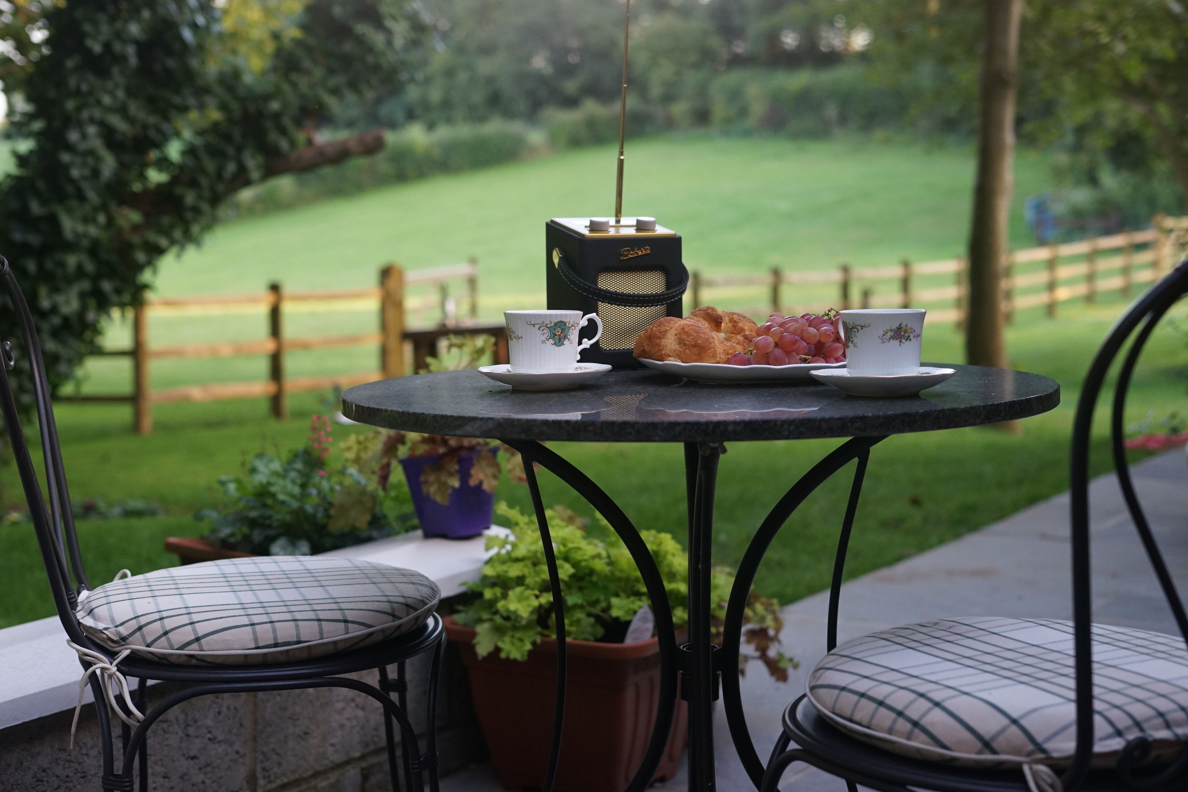 Une table ronde avec une radio, deux tasses et une assiette de raisins, le tout placé sur un balcon donnant sur un espace verdoyant délimité par une clôture en bois.