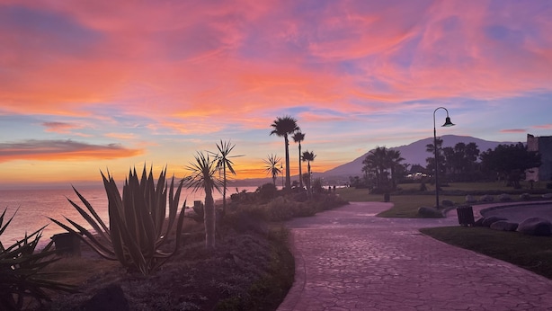 A sunset view along a paved pathway with palm trees and a mountain in the background. - Park Beach: Ground floor apartment, garden, nxt to pool, nr beach. Free parking (ESTEPONA  MALAGA)