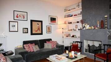 TV connectée, cheminée, lecteur de DVD, livres