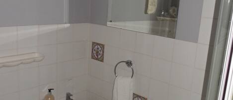 A bathroom with a sink, a mirror, and a shower.