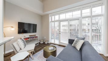 Flat-screen TV, Netflix