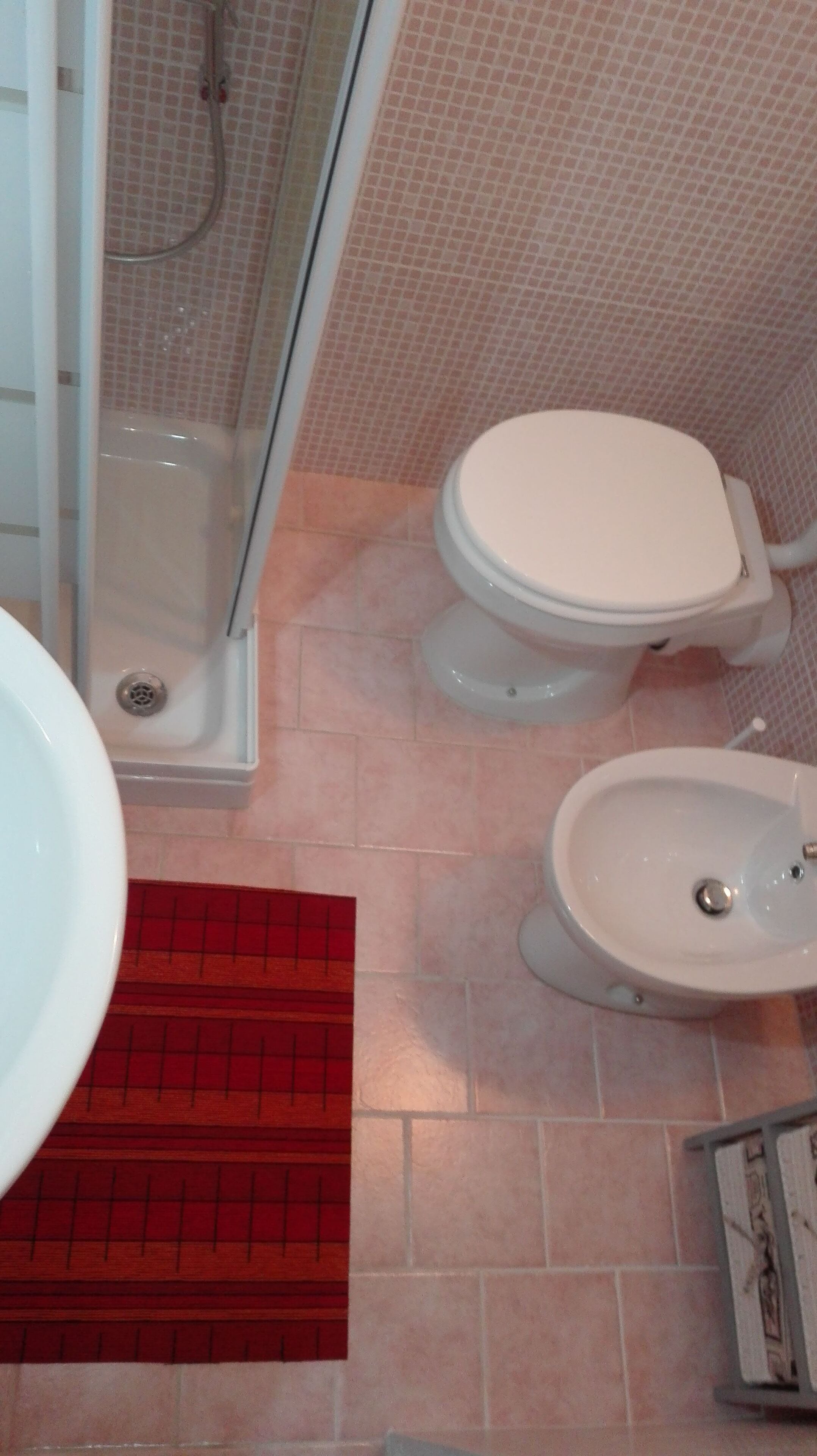 A bathroom with a shower, toilet, bidet, and a red rug.