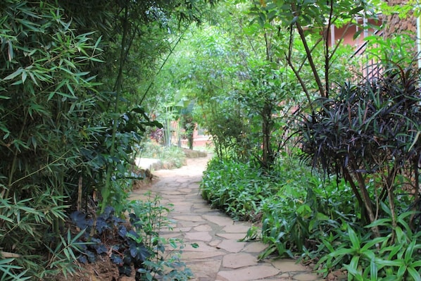 Terrein van de accommodatie