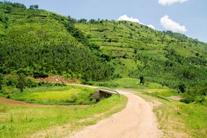 Vista desde la habitación