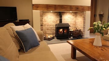 Smart TV, fireplace, DVD player, books