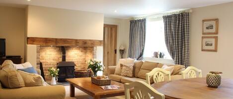 Smart TV, fireplace, DVD player, books