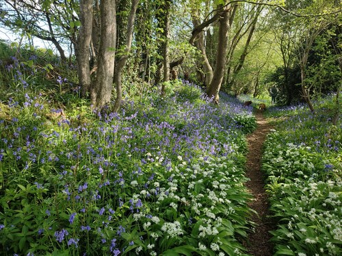 Idéal pour les couples ou les familles, une retraite à la campagne près de la côte et de Lewes