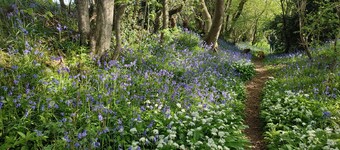 Ideal for couples or families, a country retreat close to the coast  & Lewes