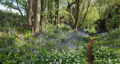 Ideal for couples or families, a country retreat close to the coast & Lewes