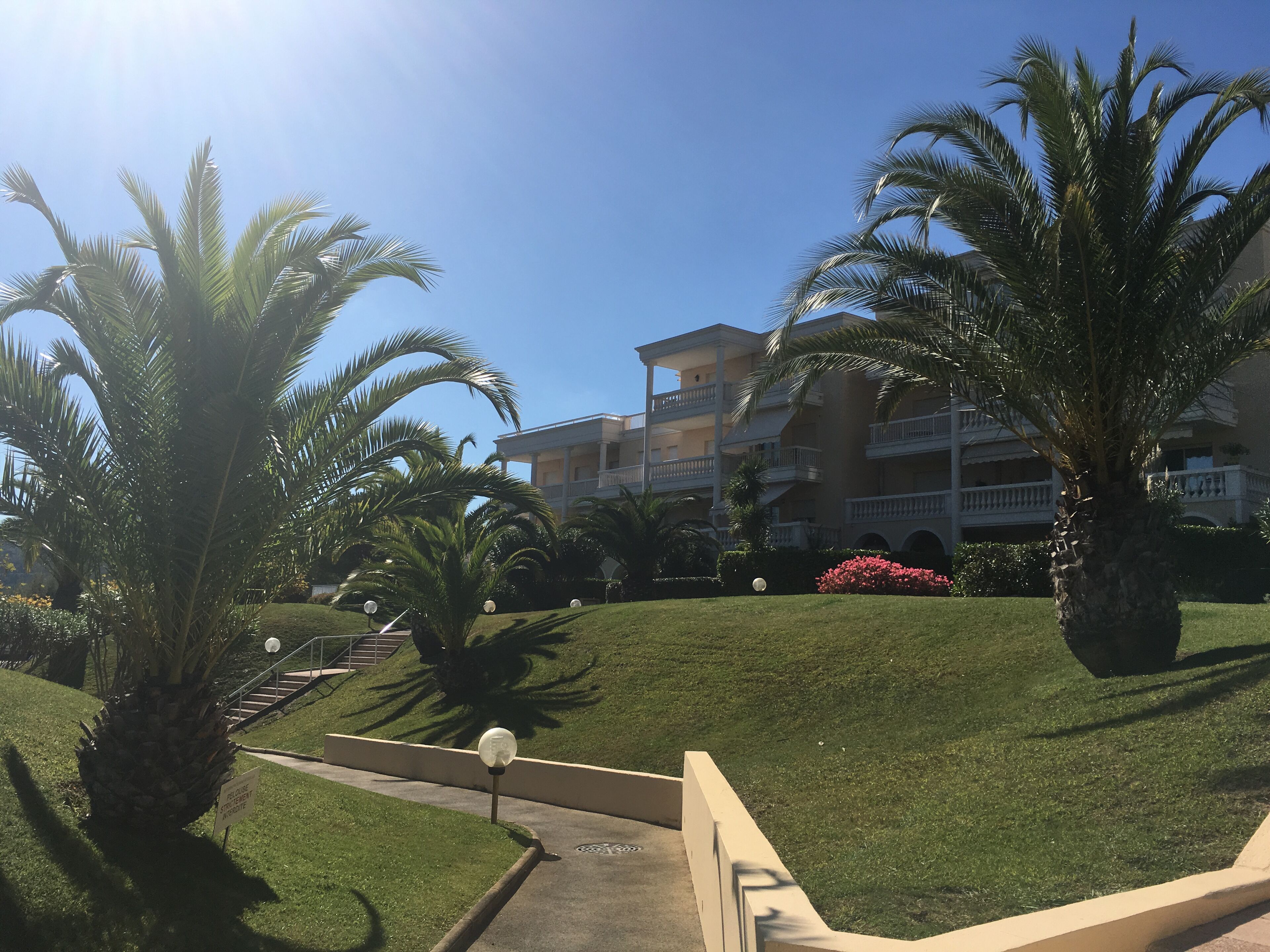 A hotel with a grassy lawn, palm trees, and a multi-story building with balconies.