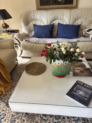 Smart TV, DVD player, books, stereo