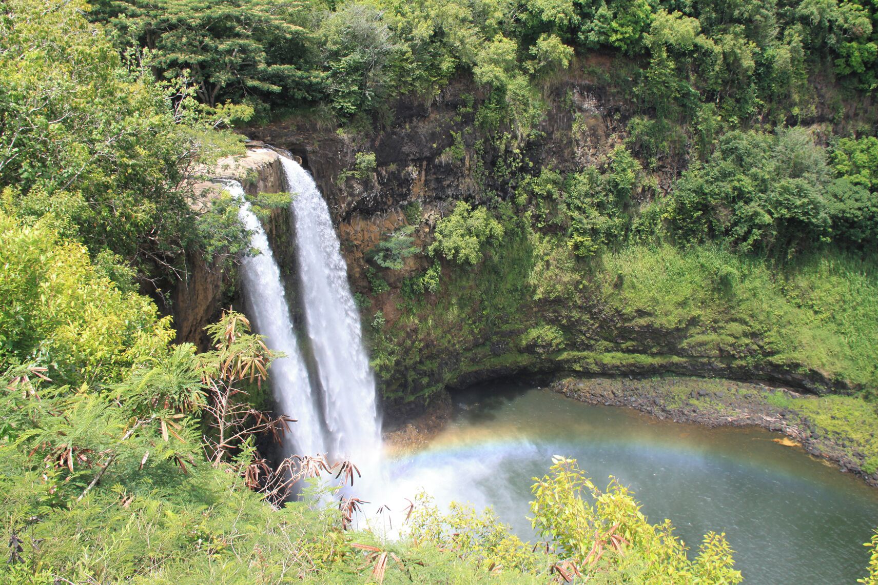 A waterfall cascading into a calm pool surrounded by lush greenery.
