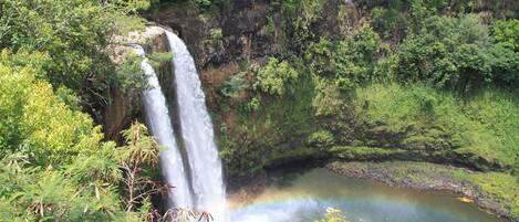 A waterfall cascading into a calm pool surrounded by lush greenery.