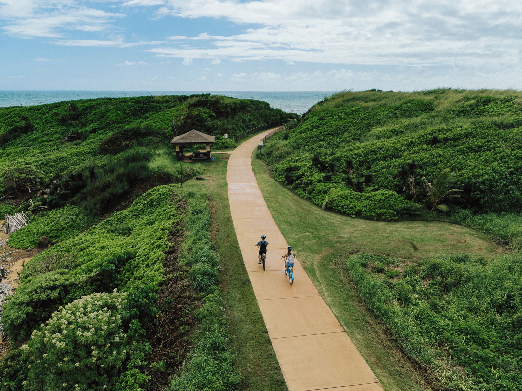 A pathway through a lush green area with a gazebo and a view of the ocean.