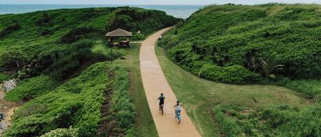 A pathway through a lush green area with a gazebo and a view of the ocean.