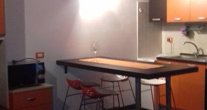 Ghirla lake. Studio flat