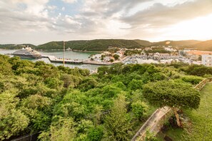 Aerial view - Ocean View Condo Close to Town (Huatulco)