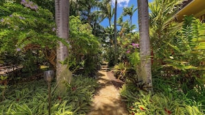 Un sendero en un jardín rodeado de exuberante vegetación tropical y árboles.