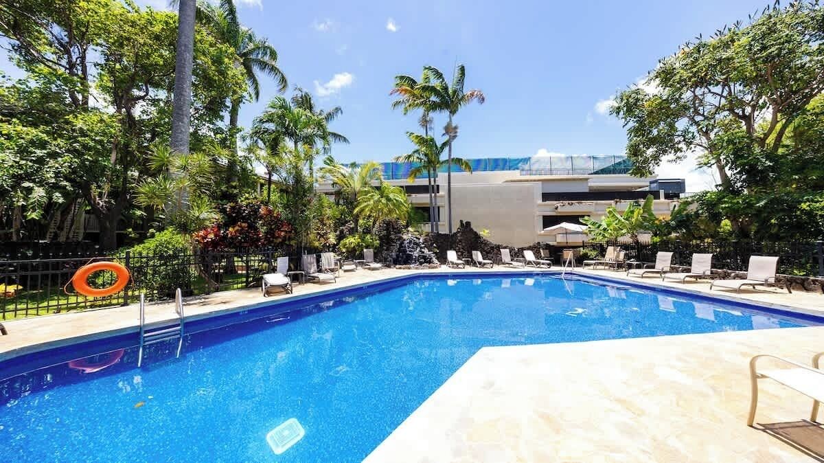 A swimming pool with lounge chairs and palm trees.
